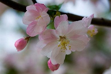 《战地6》从立项之初就将主机玩家纳入核心考量